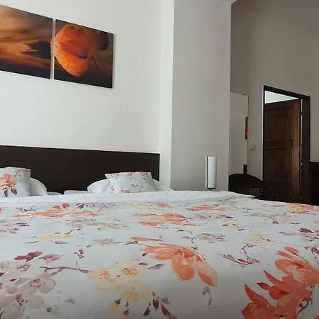 Apartma Na Hane شقة